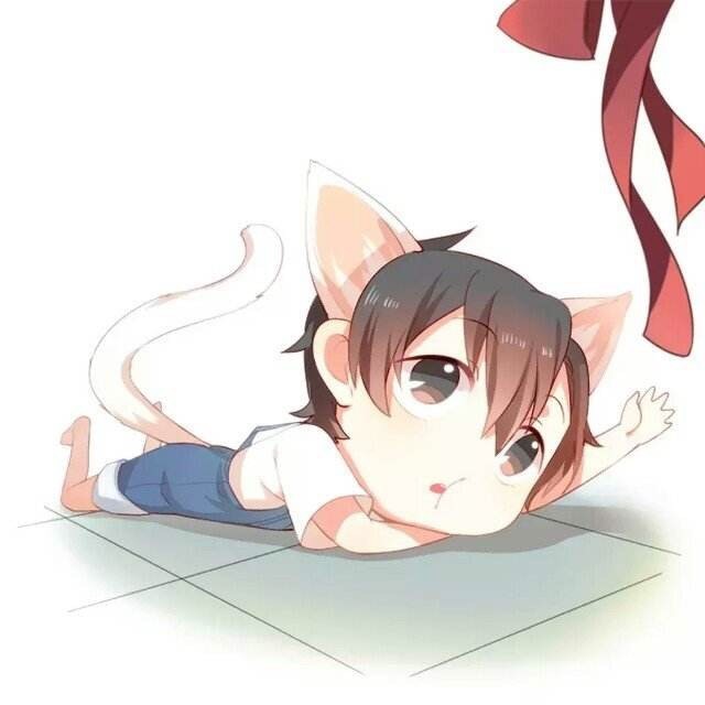 82852 