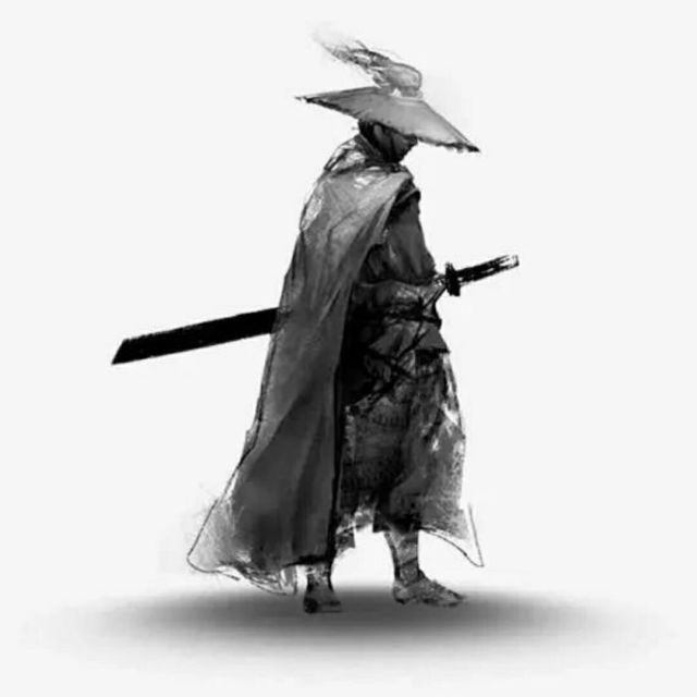 828587 wuji