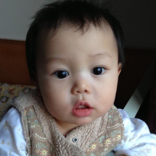 829100 Vivian