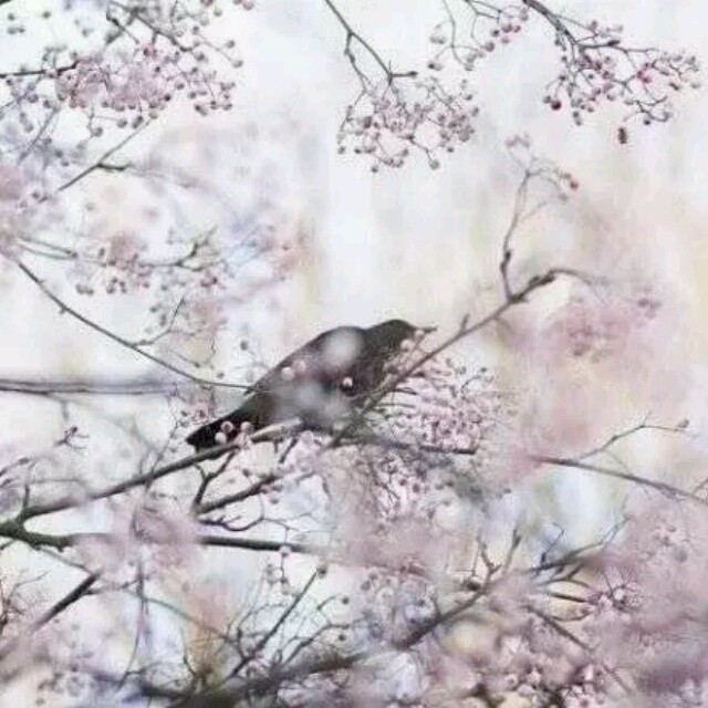 829170 ╱／王俊杰╪