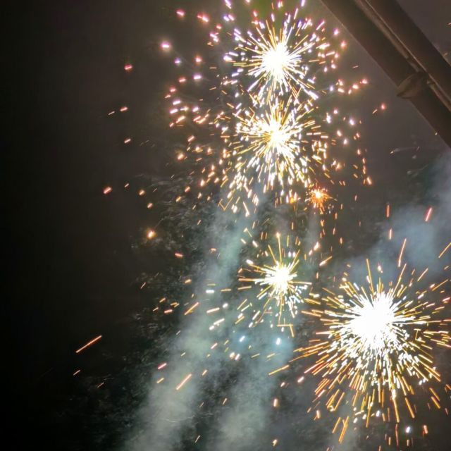 829172 风神龙雀