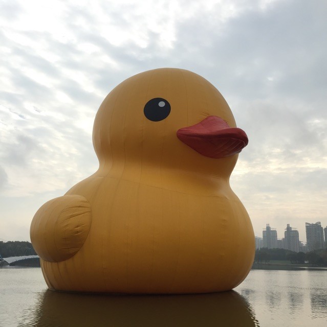 829883 跳跳虎