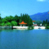 830288 Yongchao