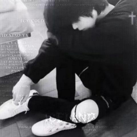 830547 KK鲜花资材(吴军）
