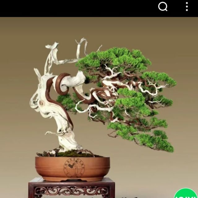 83251 泡泡ooO沫沫