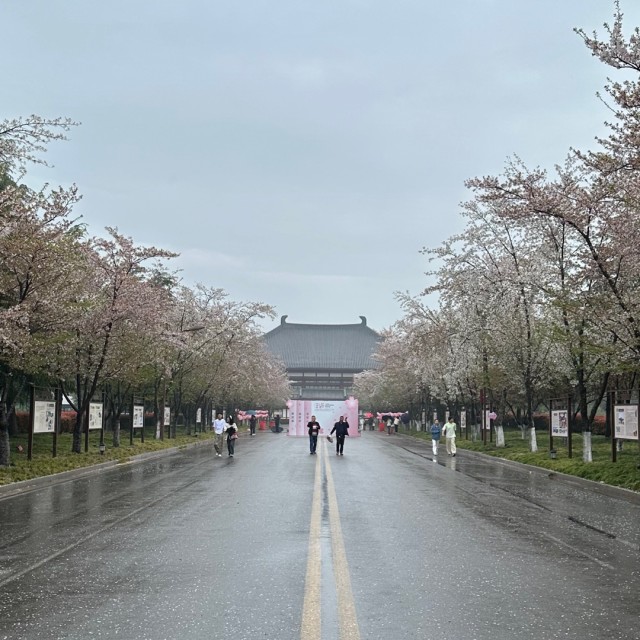 83873 风雨中的修行者