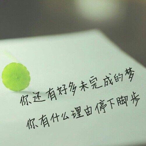 83955 大志⁸³⁹⁵⁵