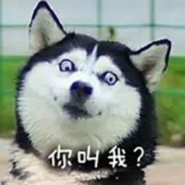840472 ぶ水壶傳