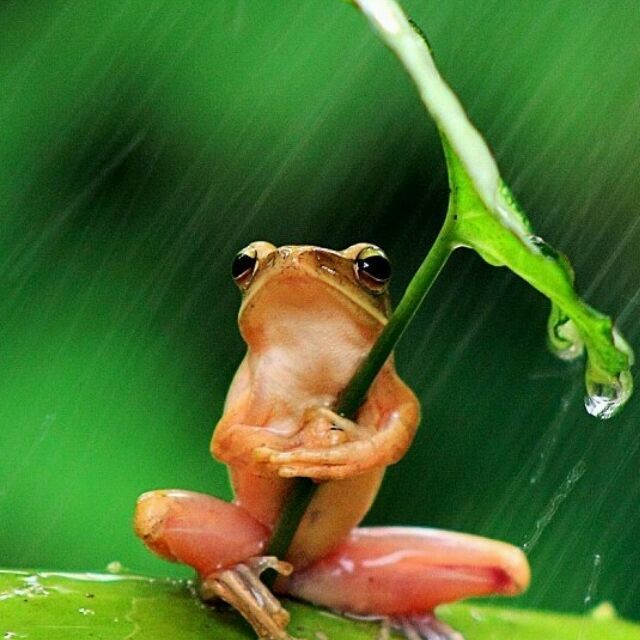 841500 夜雨随心