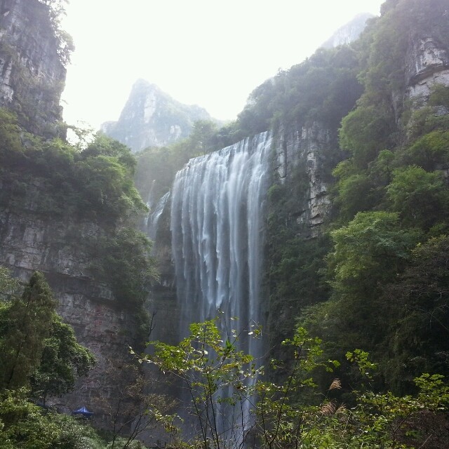842025 贱圣