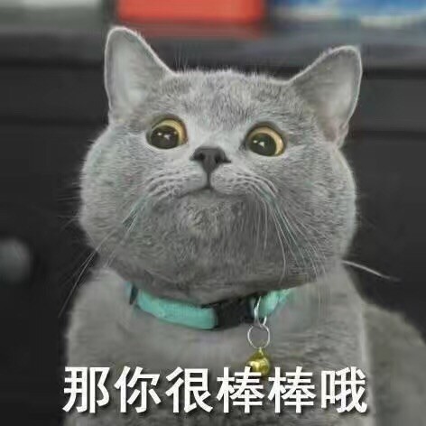 842371 宫望津