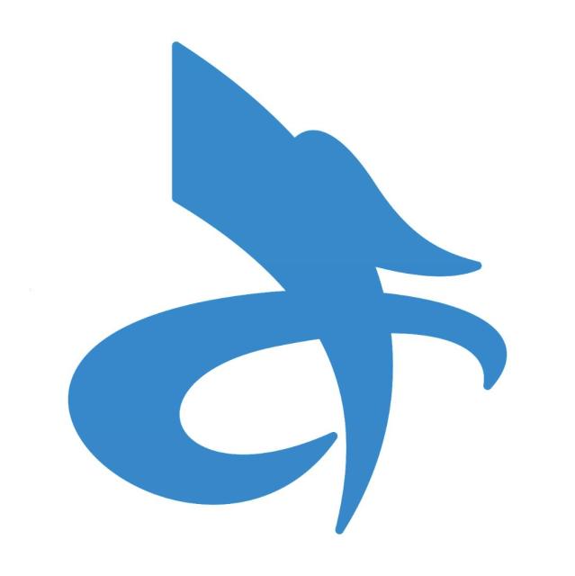 843517 零售信息化专家