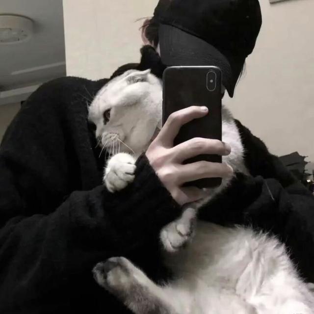 843586  活 