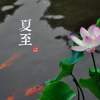 843959 夏至