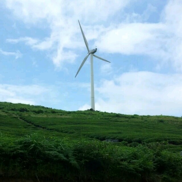 844073 丿未