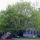 844084 wenjie.z