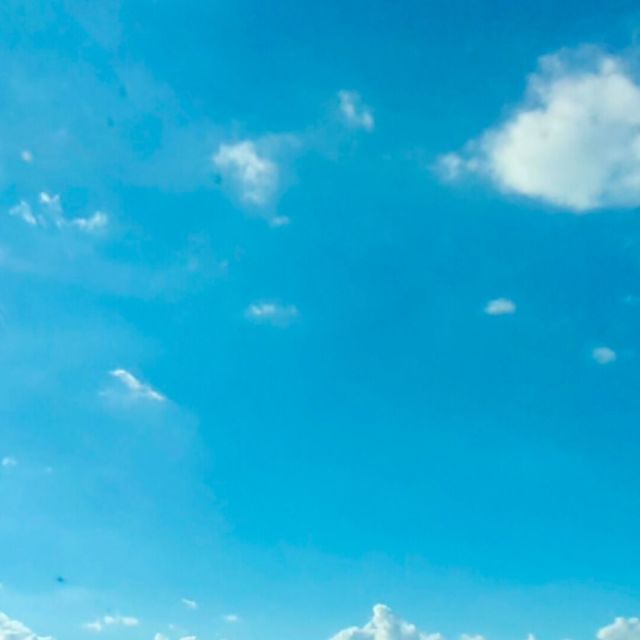 844234 厶月/tx