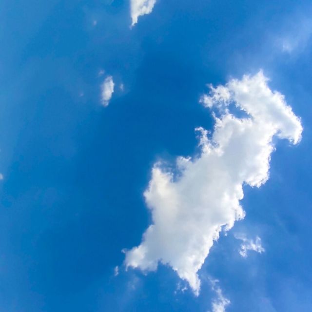 844270 道寒
