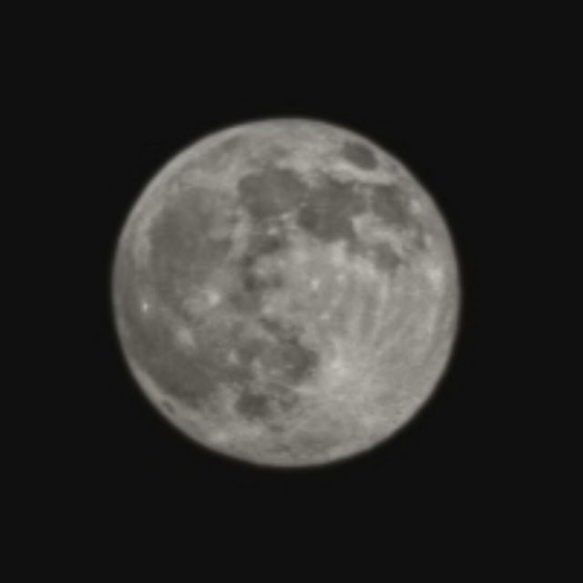 844431 小a/小文/小恐龙
