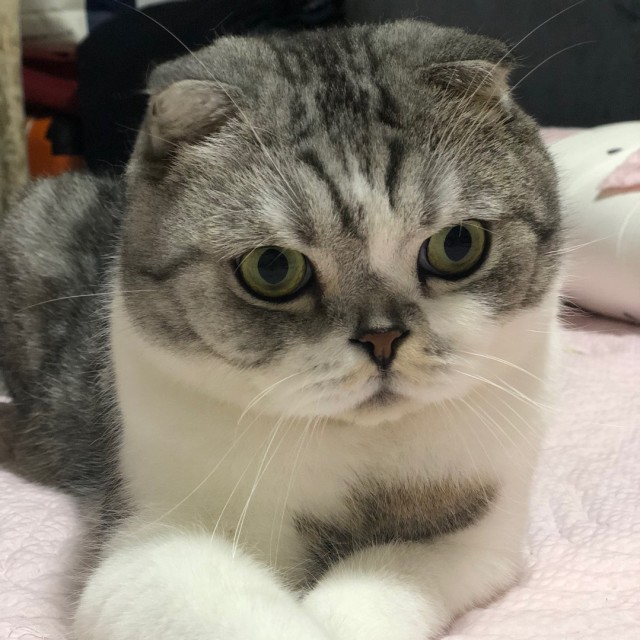 844741 尛柔ヽ