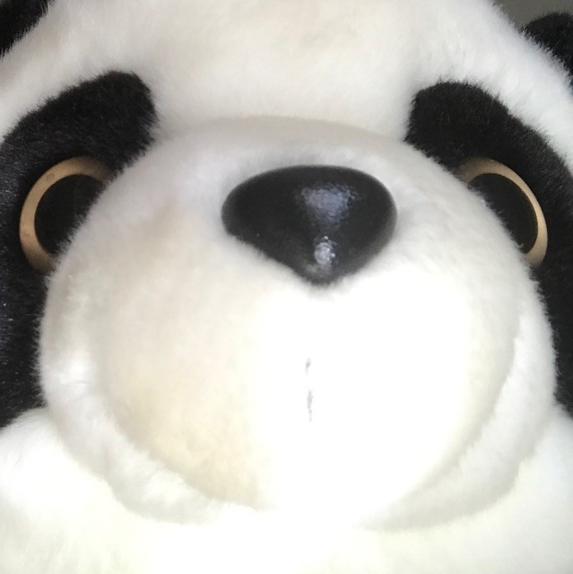 844897 西瓜不会飞