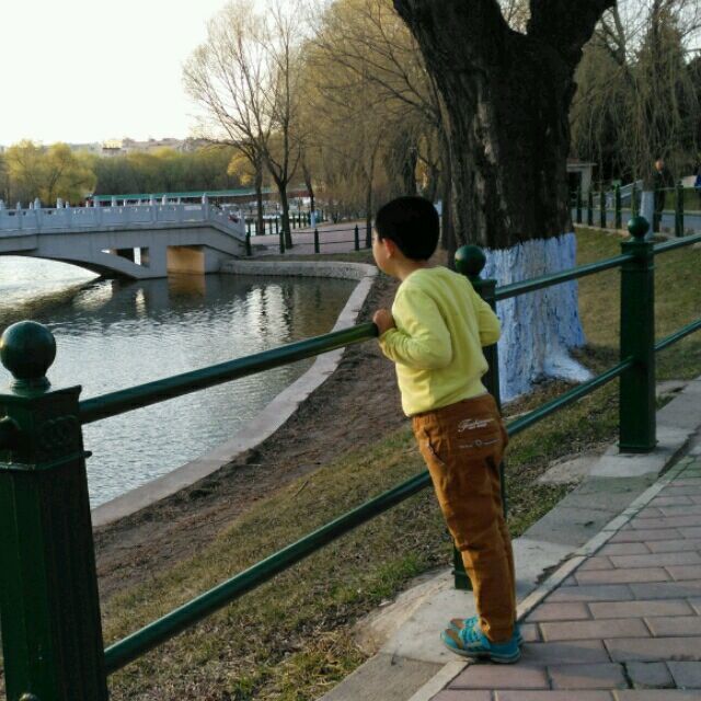 845042 晓东