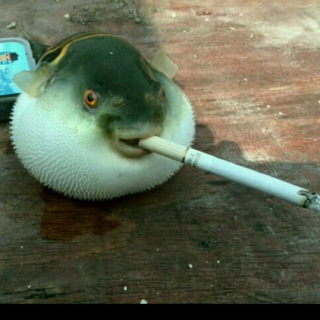 845085 聊天耗资