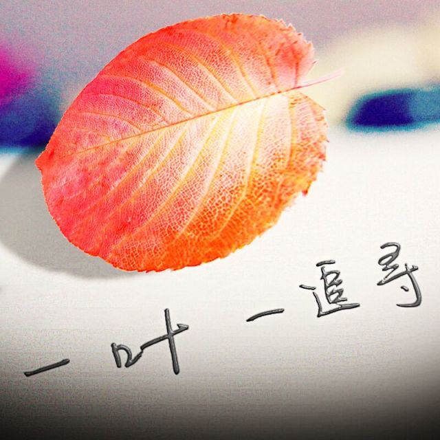 84566 一 叶⁸⁴⁵⁶⁶