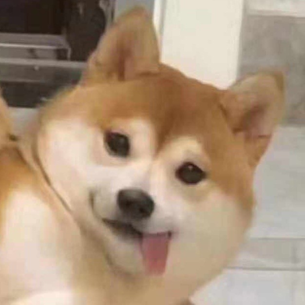 845698 陈咩