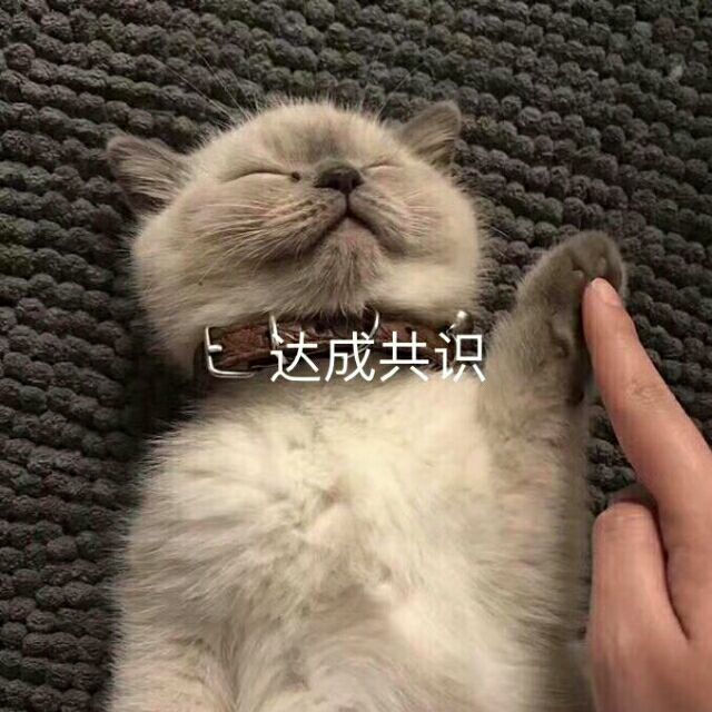 845782 龙猪