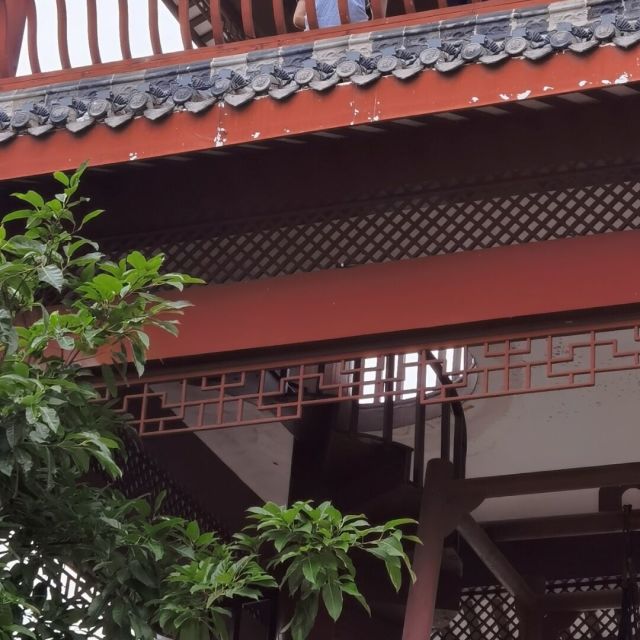 845874 朝晖