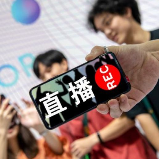 845909 灰太狼