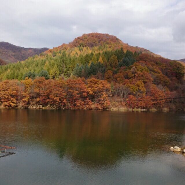 845922 依然低调