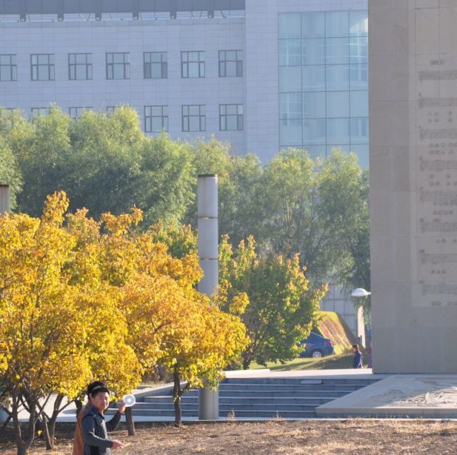 84599 寒阳