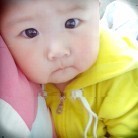 846042 鱼鱼也飞翔