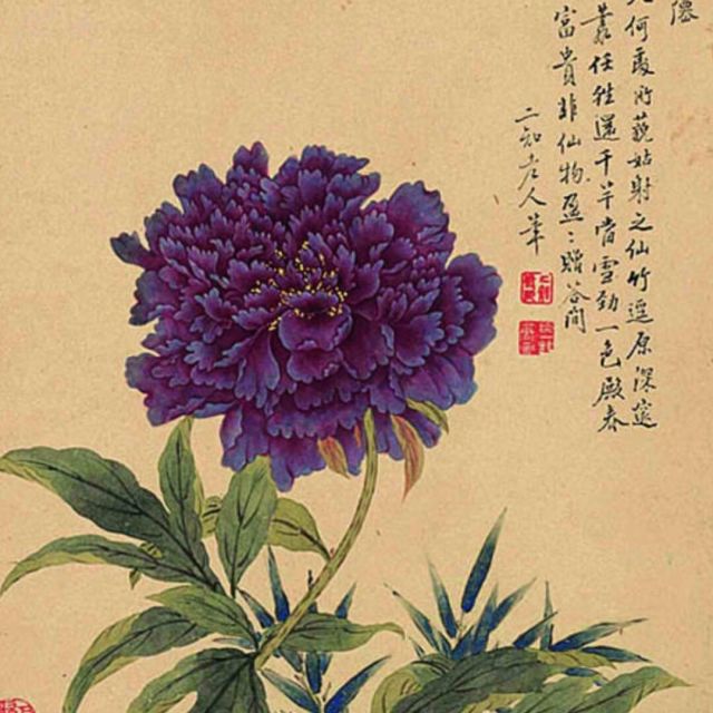 846280 云月