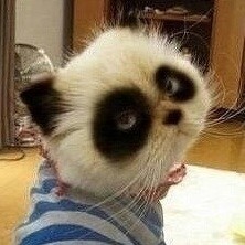 846463 ~你追我就跳~