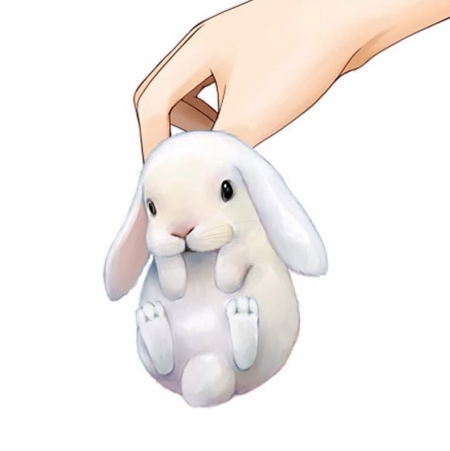 846695 -月光里的浅忆-