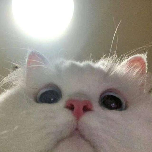 846709 ‎
