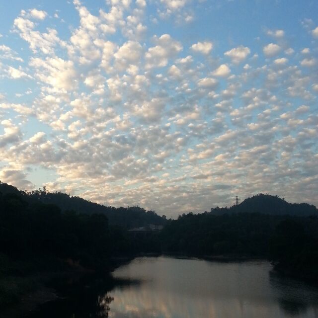 846806 喜羊羊