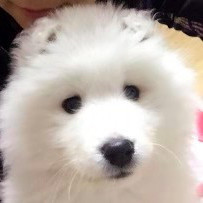 846841 相信自己