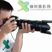 846869 橡树摄影网-阿晓