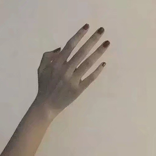 847714 猫咪