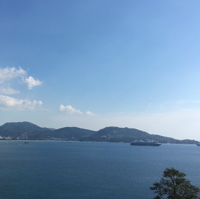 847881 蓝蜻蜓
