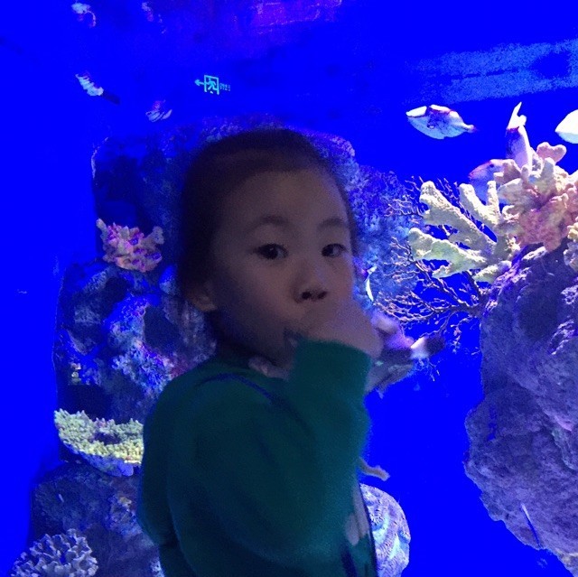 848257 罗马电竞