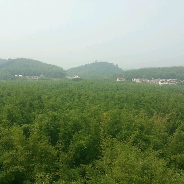 848415 太阳