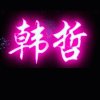848890 韩哲金牌全服代練