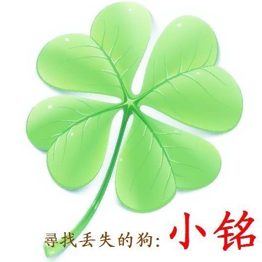 848939 尋找丟失的狗