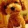 850212 Emily