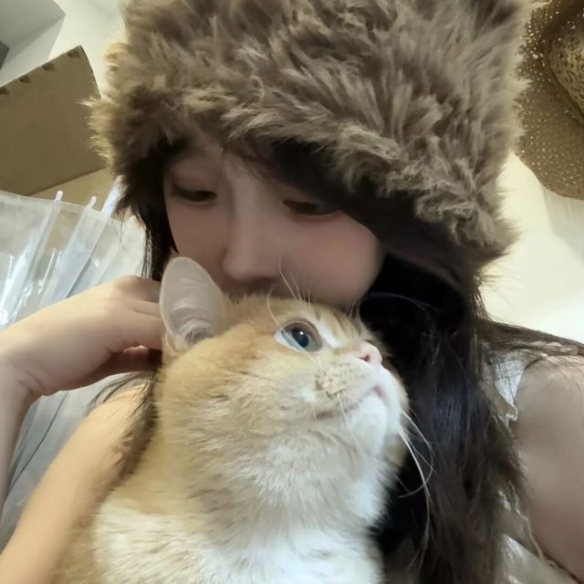 852337 大宝